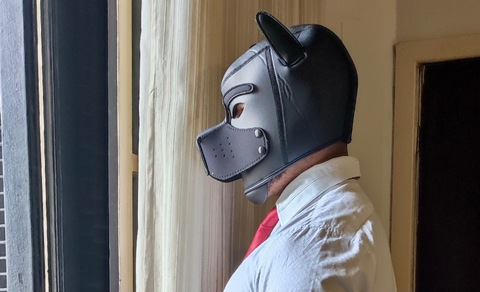 Header of sirdobermann